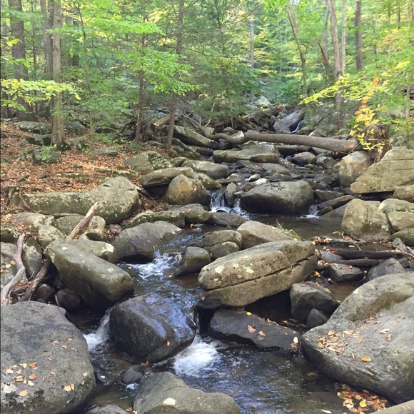 Meet your Posher, Christy - Picture 1 of 1